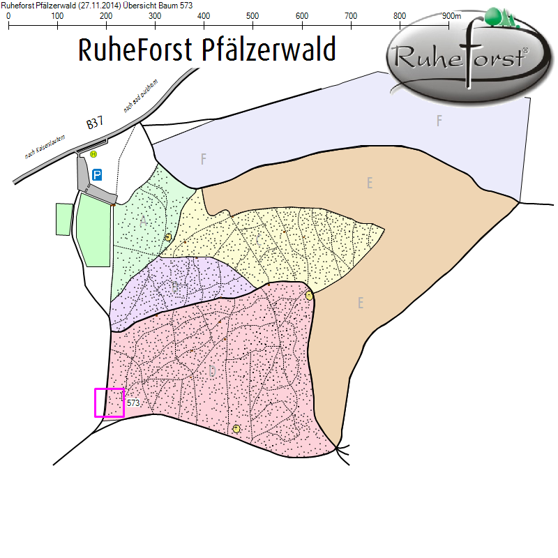 Übersichtskarte zu Baum 573