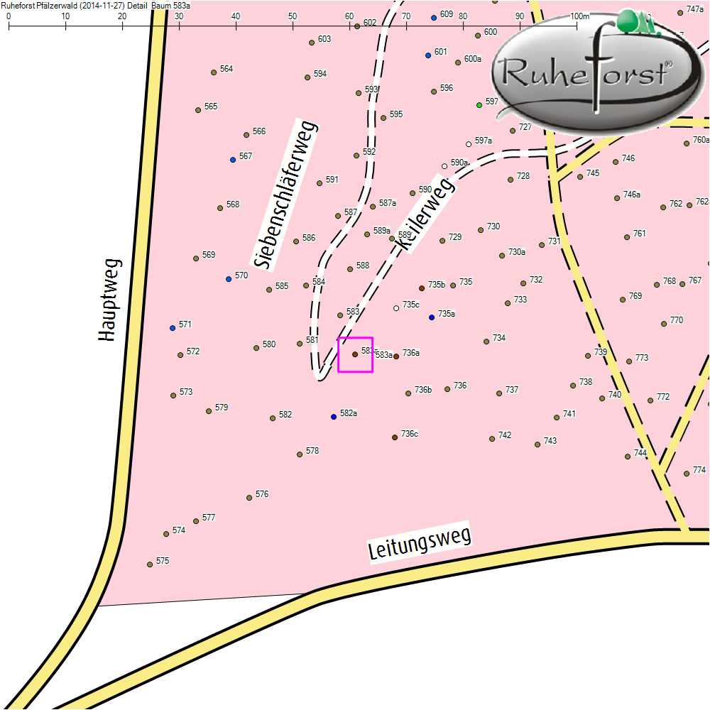 Detailkarte zu Baum 583a