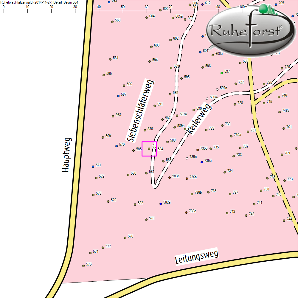 Detailkarte zu Baum 584