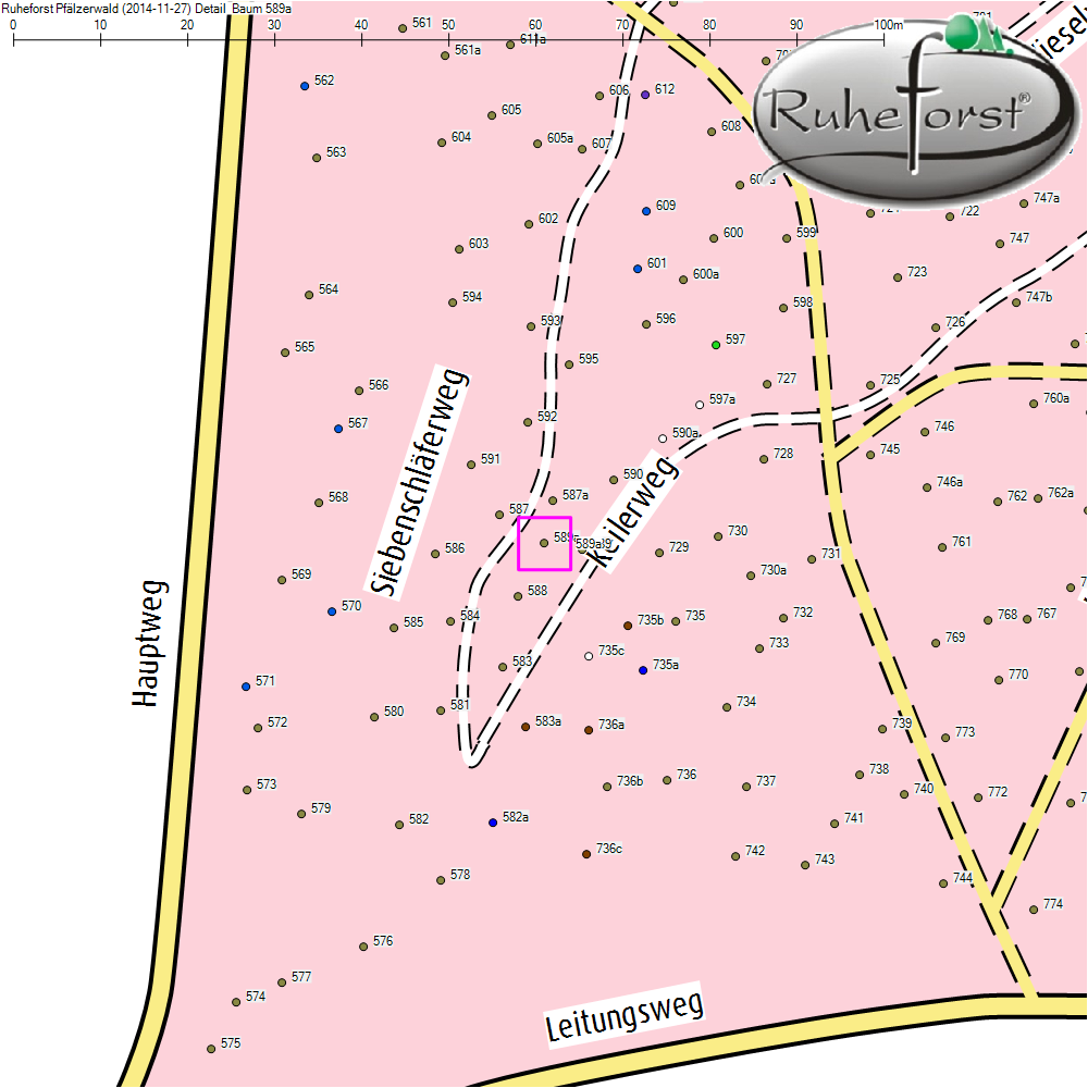Detailkarte zu Baum 589a