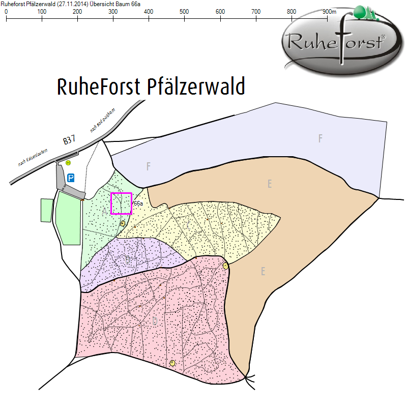 Übersichtskarte zu Baum 66a