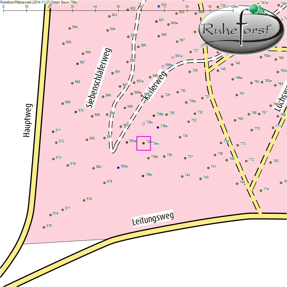 Detailkarte zu Baum 736a