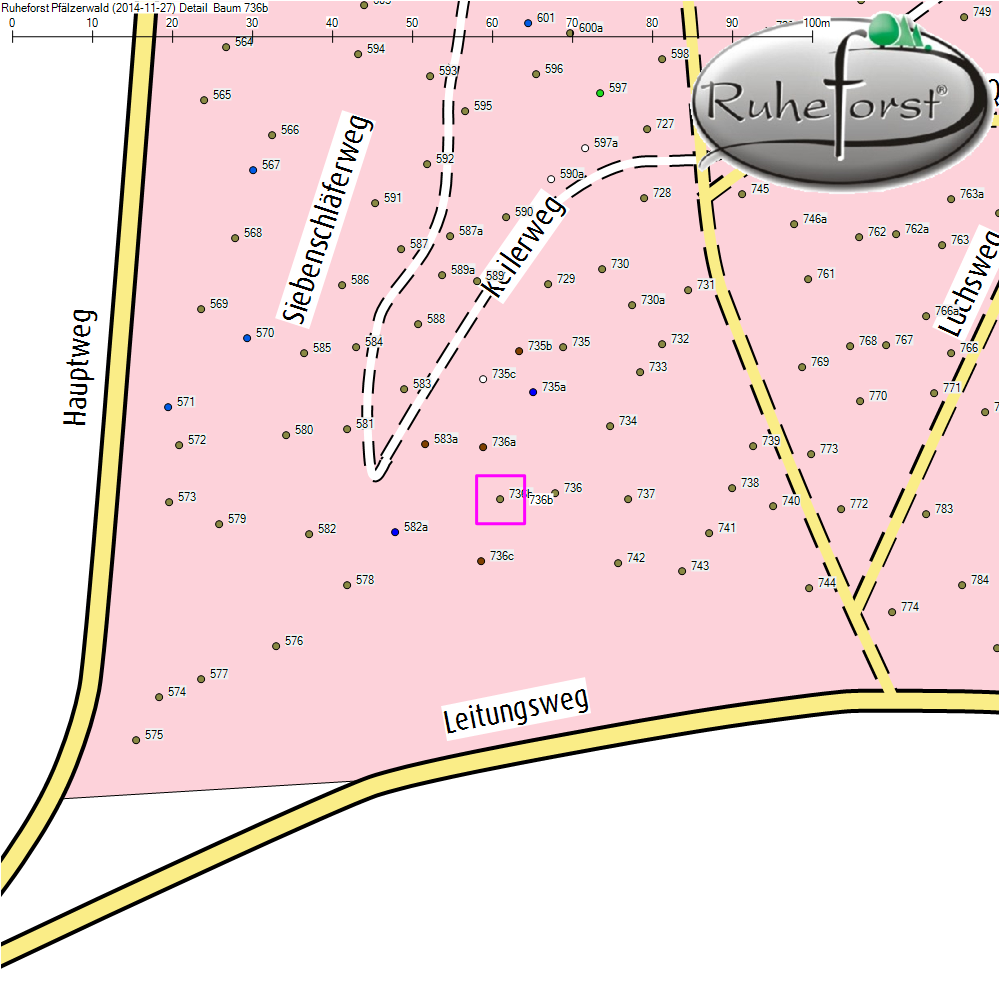 Detailkarte zu Baum 736b