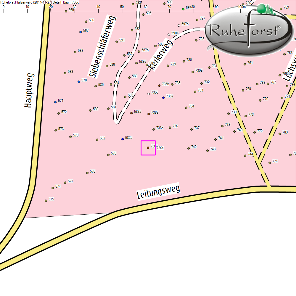 Detailkarte zu Baum 736c