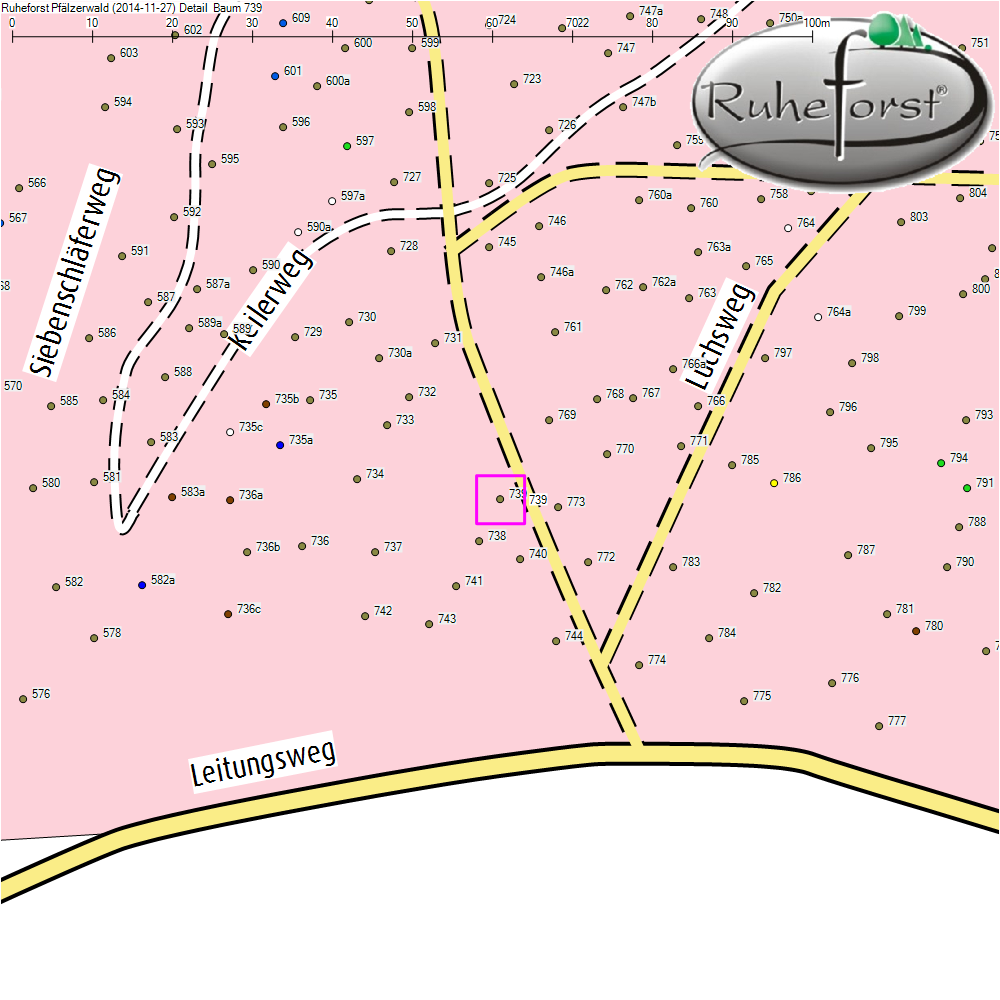 Detailkarte zu Baum 739