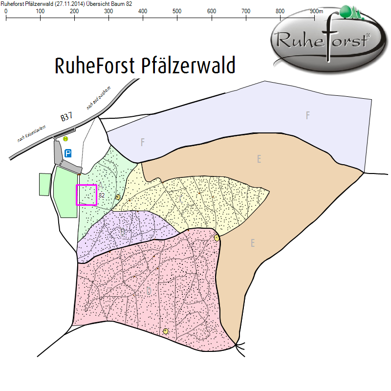 Übersichtskarte zu Baum 82