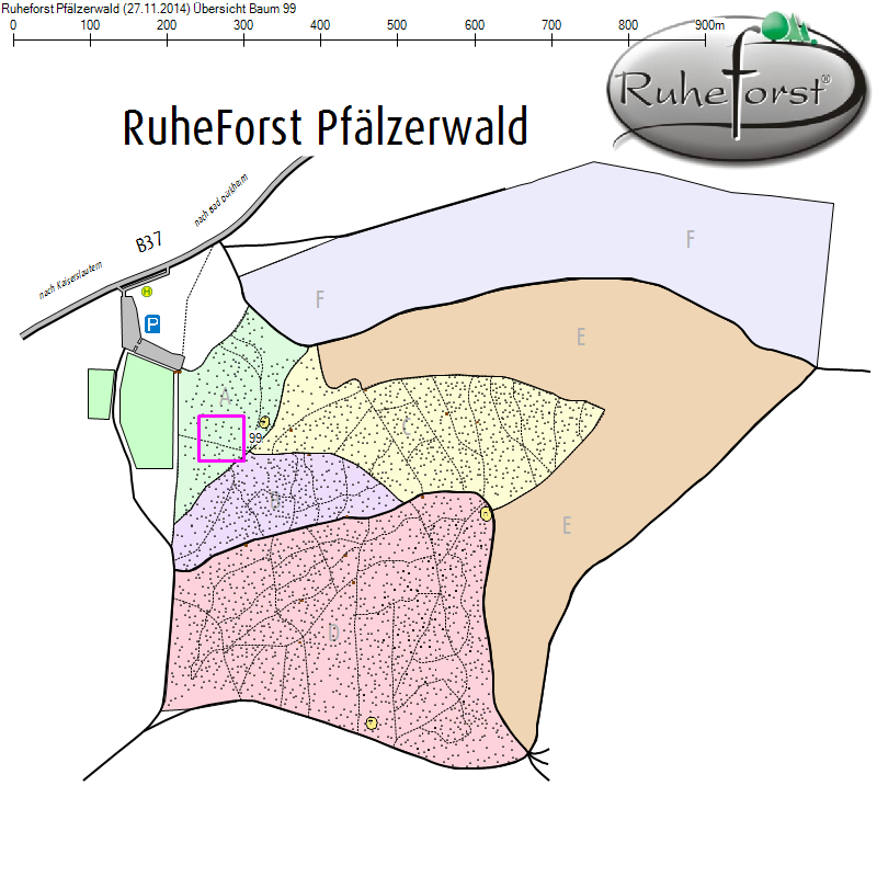 Übersichtskarte zu Baum 99